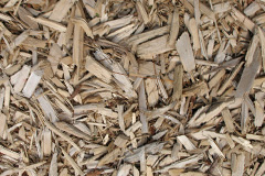 biomass boilers Llwydarth
